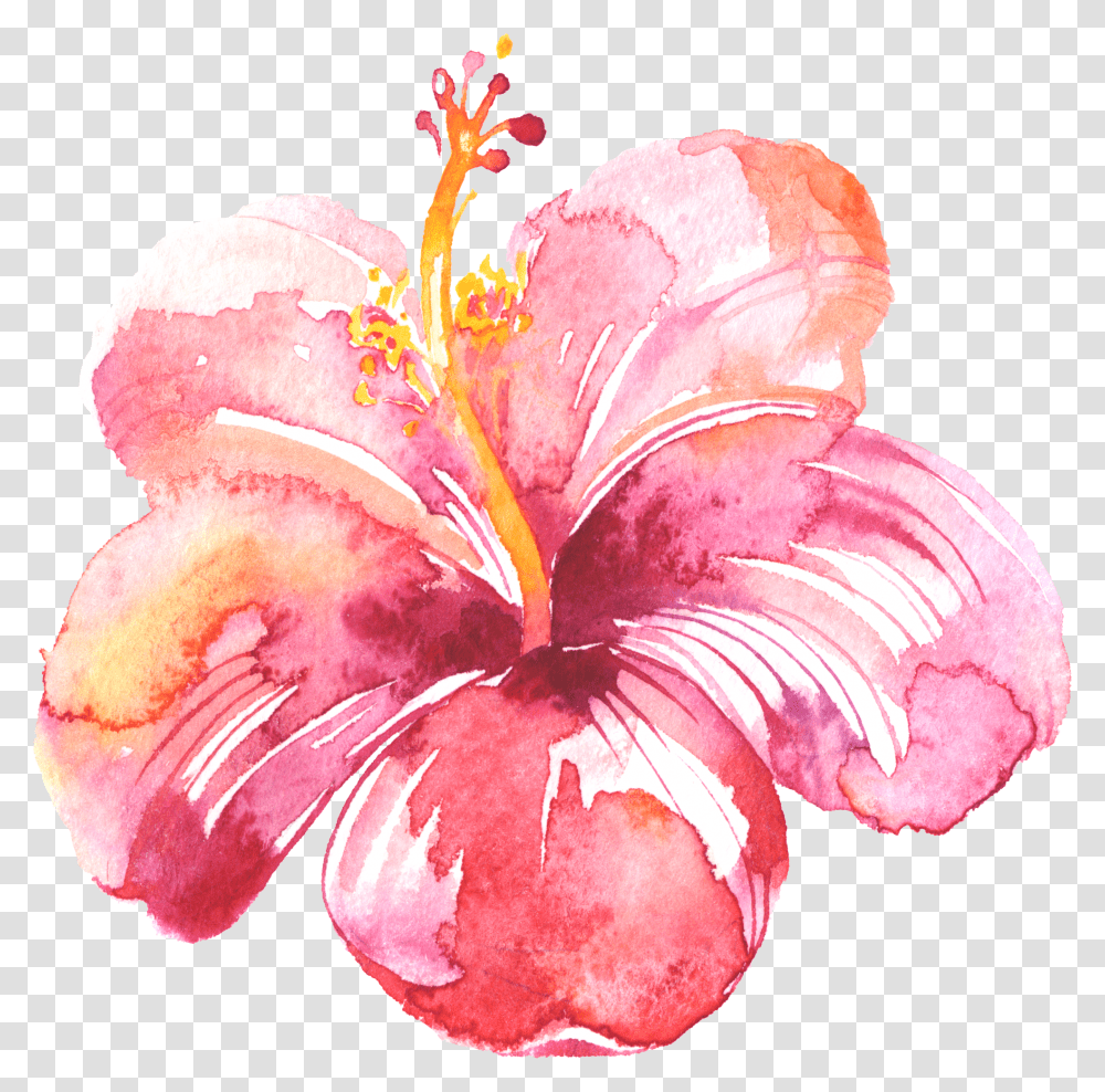 Watercolor Splotch Hibiscus Flower In Pink Watercolor Transparent Png