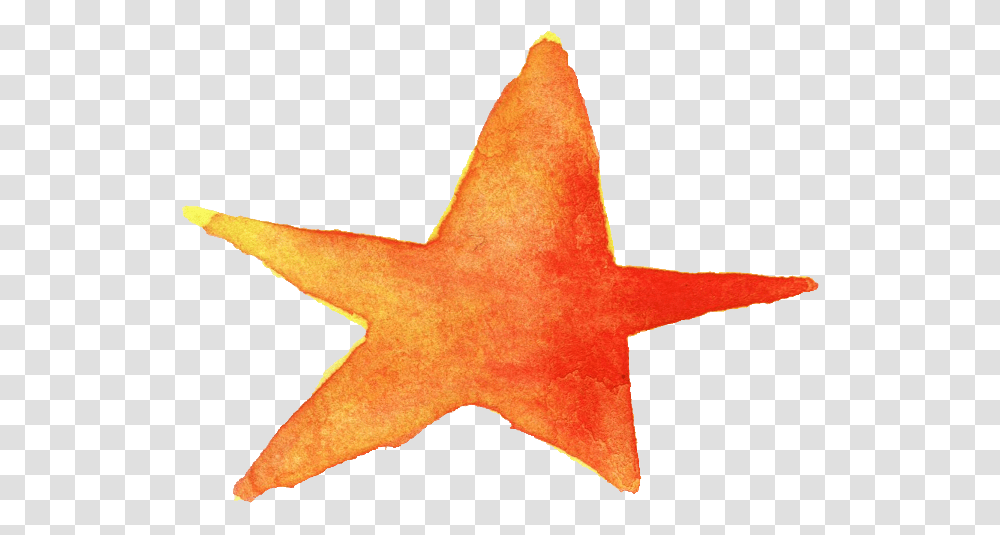 Watercolor Star Watercolor Star Orange, Leaf, Plant, Animal, Sea Life Transparent Png