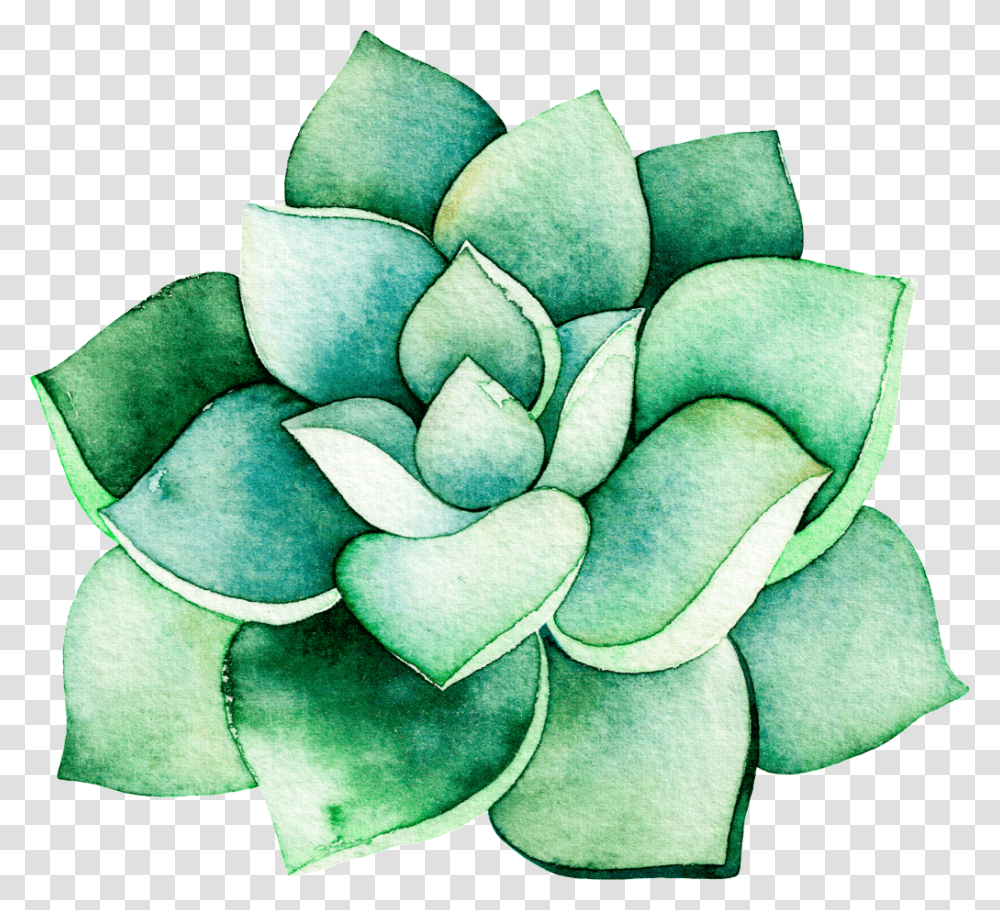 Watercolor Stereo Succulent Cartoon Watercolor Succulent Background, Ornament, Leaf, Plant, Pattern Transparent Png
