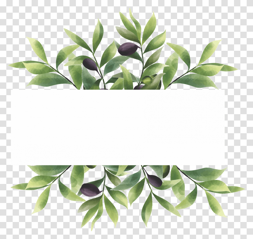 Watercolor Style Olive Leaf Frame With Space For Text Houseplant, Potted Plant, Vase, Jar, Pottery Transparent Png
