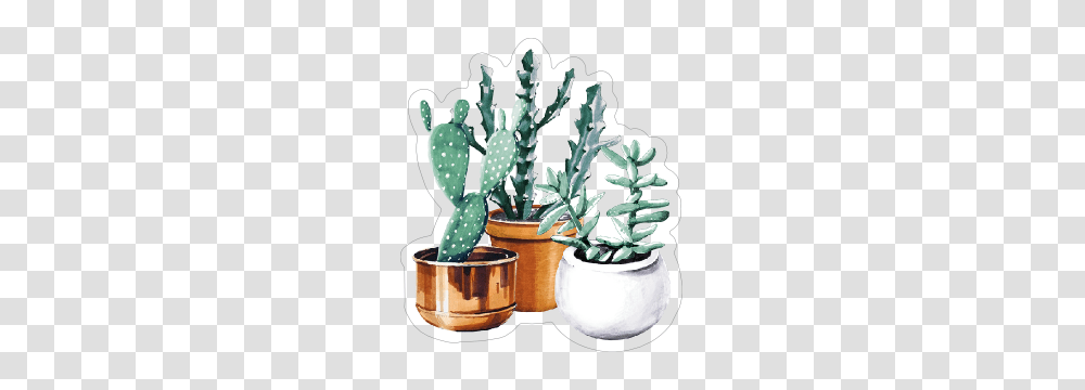 Watercolor Succulent Bouquet Sticker, Plant, Cactus Transparent Png