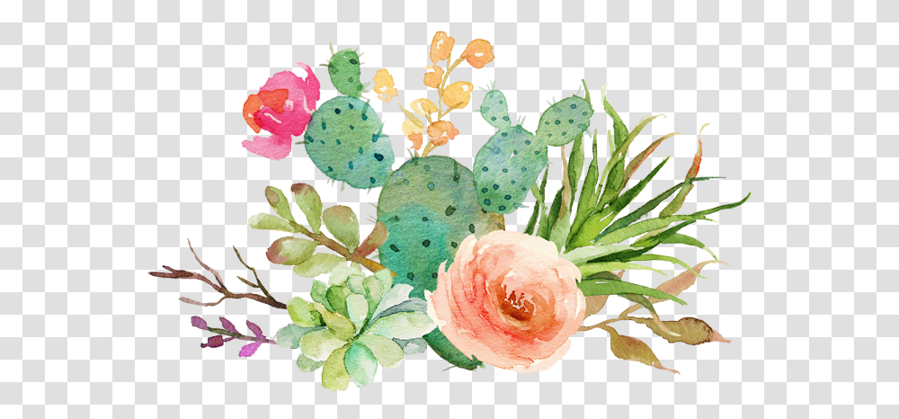 Watercolor Succulent Clipart Watercolor Cactus Background, Plant, Flower, Blossom, Rose Transparent Png