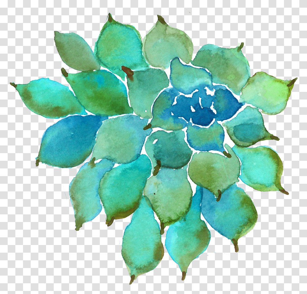 Watercolor Succulent Image Suculentas En Acuarela Transparent Png