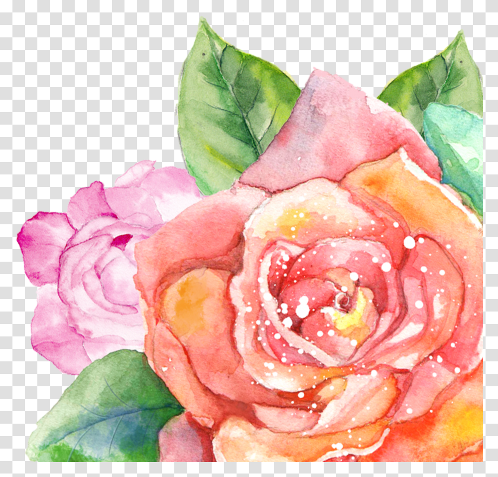 Watercolor Summer Flowers Watercolors, Plant, Blossom, Rose, Flower Arrangement Transparent Png