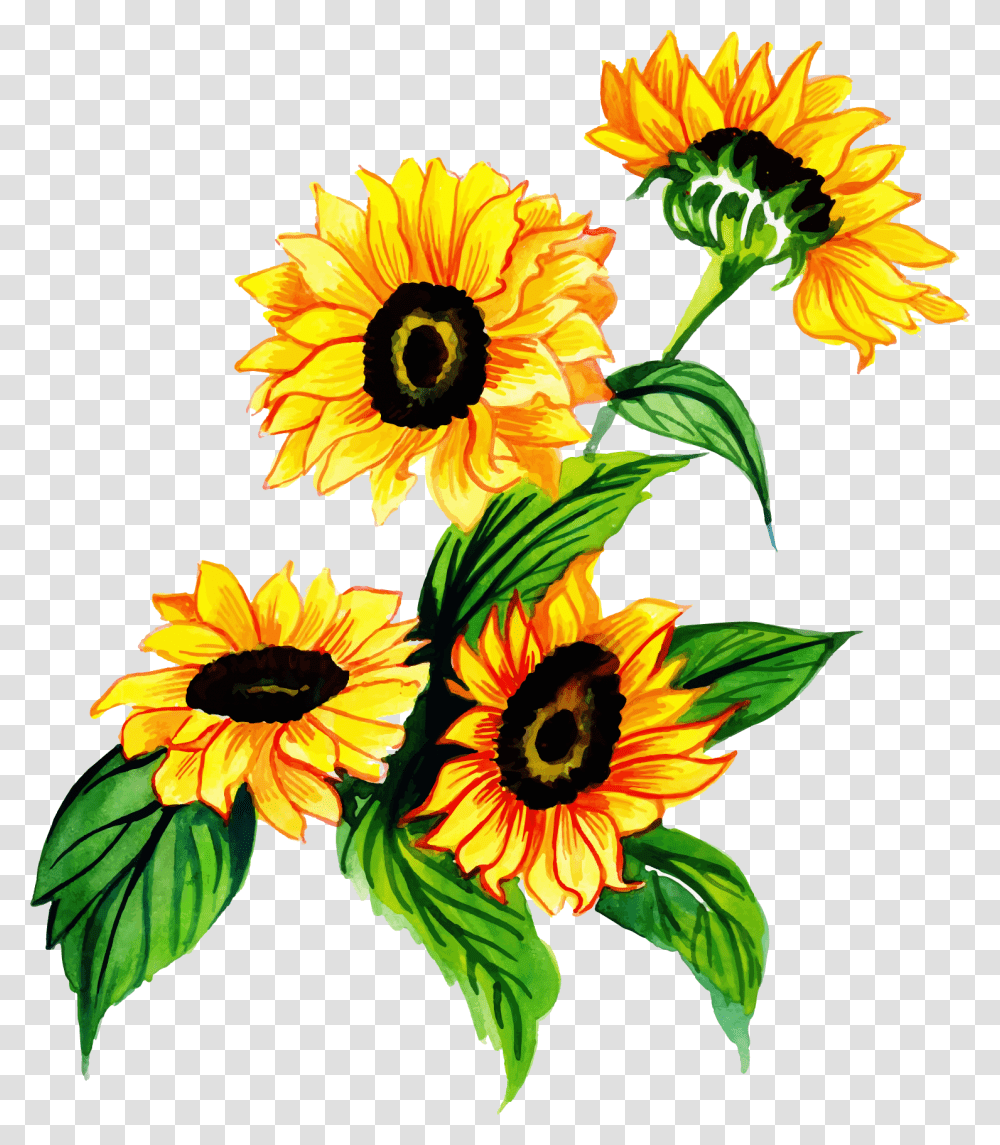 Watercolor Sunflower, Plant, Floral Design Transparent Png