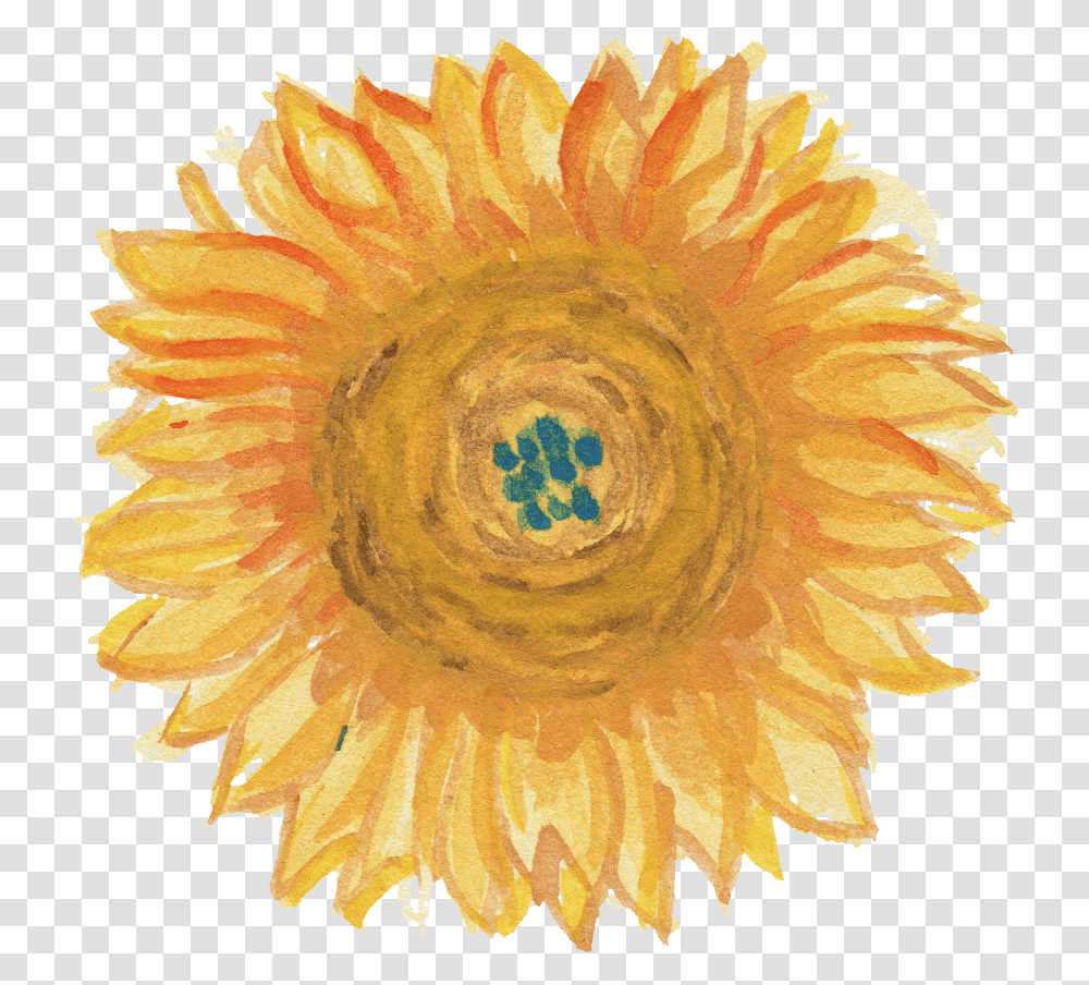 Watercolor Sunflower Sunflower, Ornament, Plant, Blossom, Pattern Transparent Png