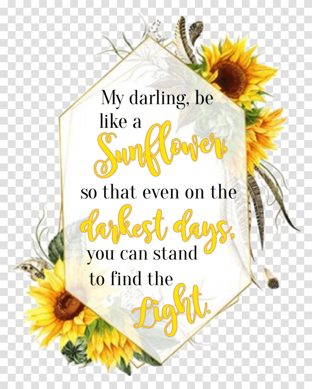 Watercolor Sunflowers Floral Frame Geometric Quote Word Sunflower, Text, Plant, Petal, Greeting Card Transparent Png