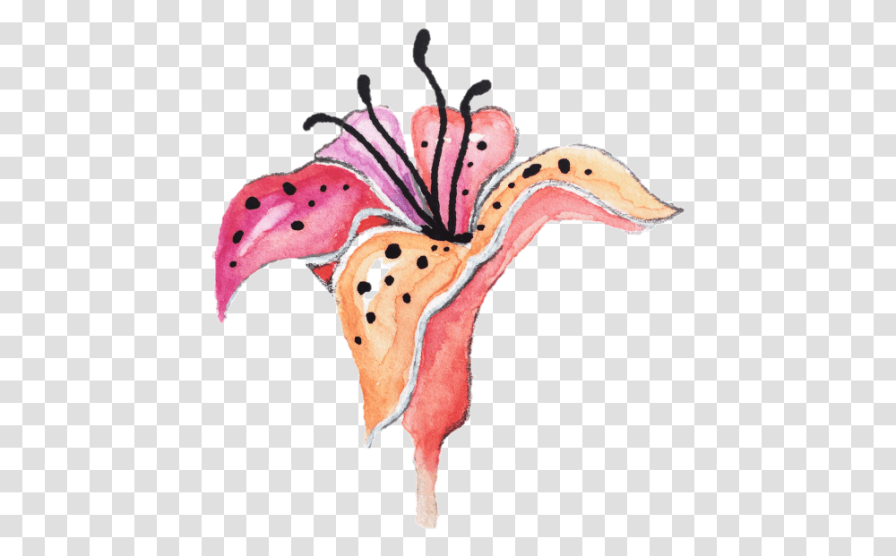Watercolor Tiger Lily Clipart, Bird, Animal, Flower, Plant Transparent Png