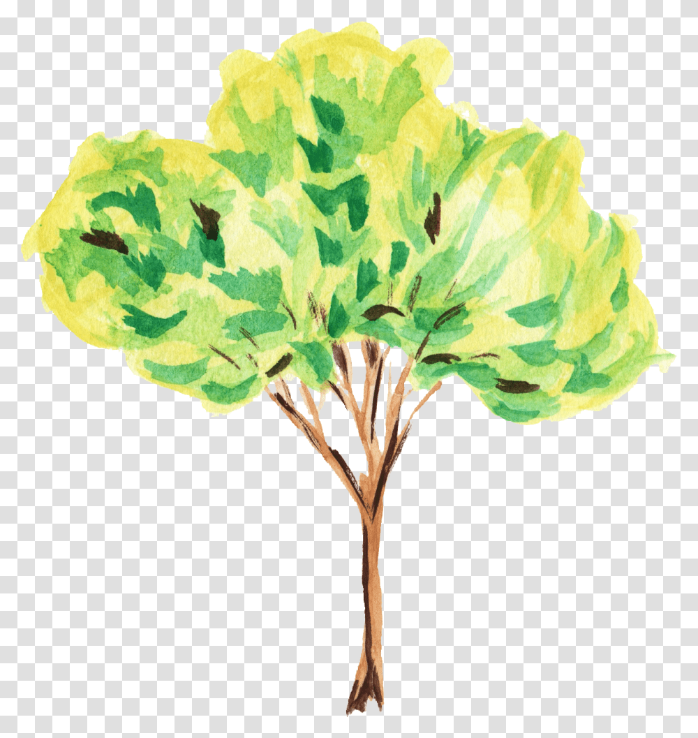 Watercolor Tree Background, Plant, Geranium, Flower, Leaf Transparent Png