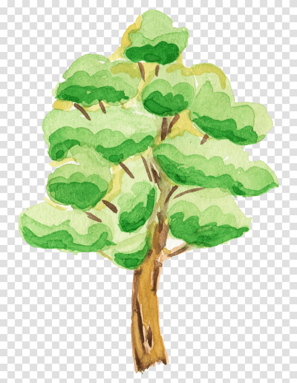 Watercolor Tree Background Tree Cartoon, Leaf, Plant, Oak, Vegetation Transparent Png