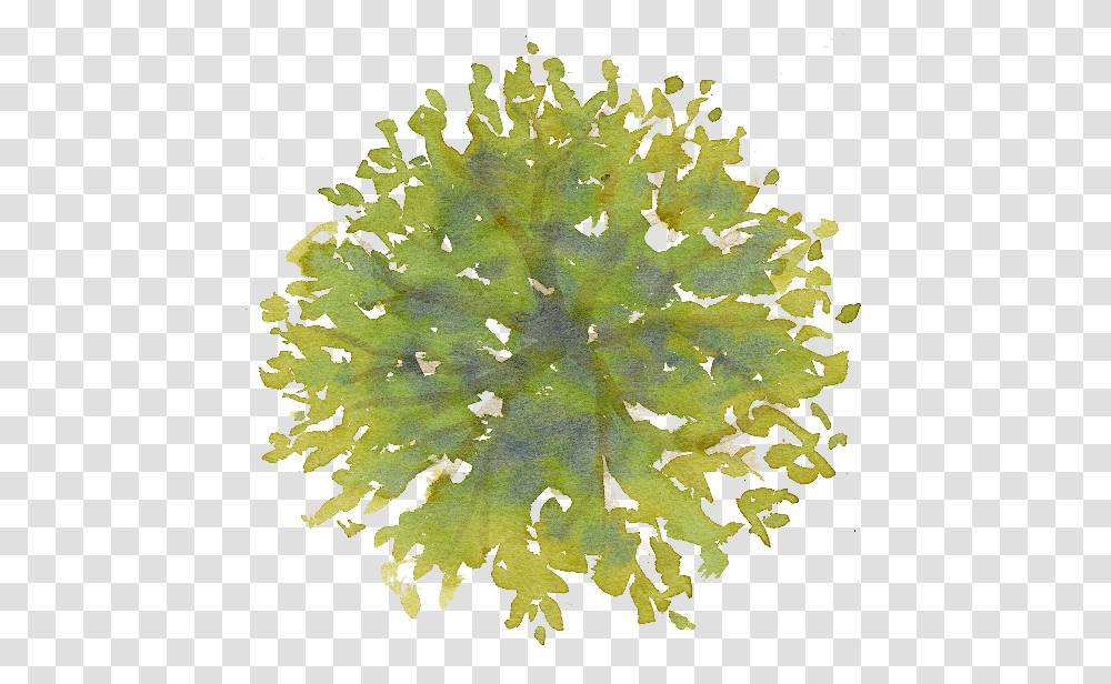 Watercolor Tree Black And White Tree Plan, Rug, Plant, Art, Pattern Transparent Png