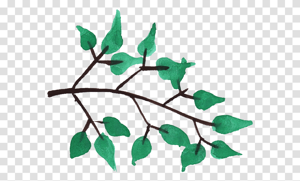 Watercolor Tree Branches Background Tree Branch, Leaf, Plant, Annonaceae, Flower Transparent Png