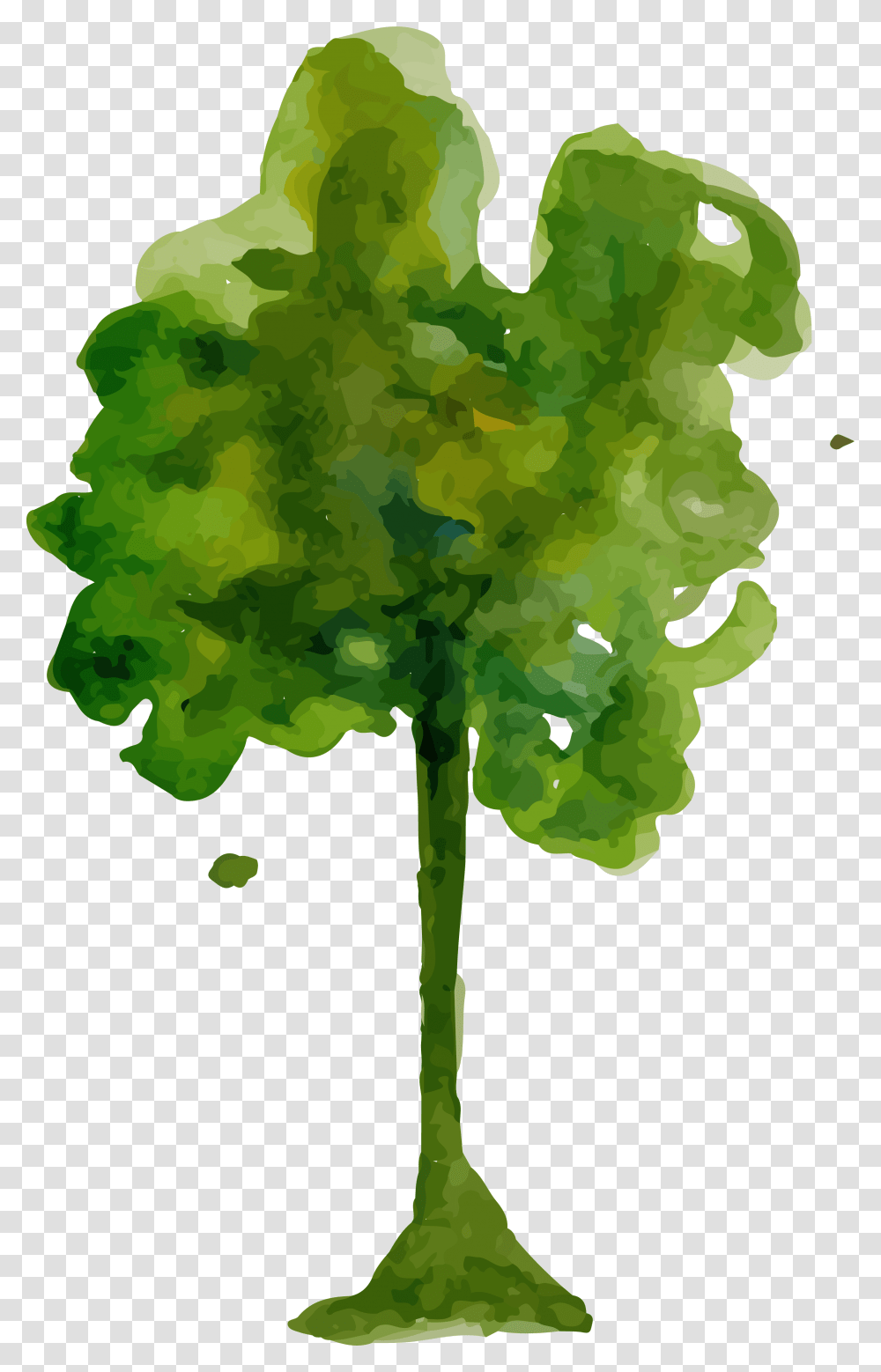 Watercolor Tree, Plant, Green, Leaf, Vegetation Transparent Png