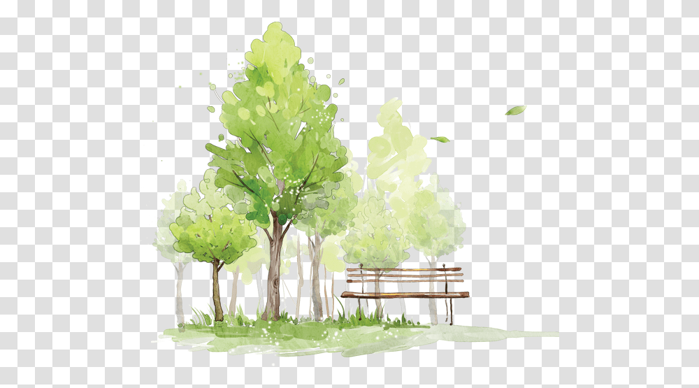 Watercolor Tree Sketch, Plant, Vegetation Transparent Png