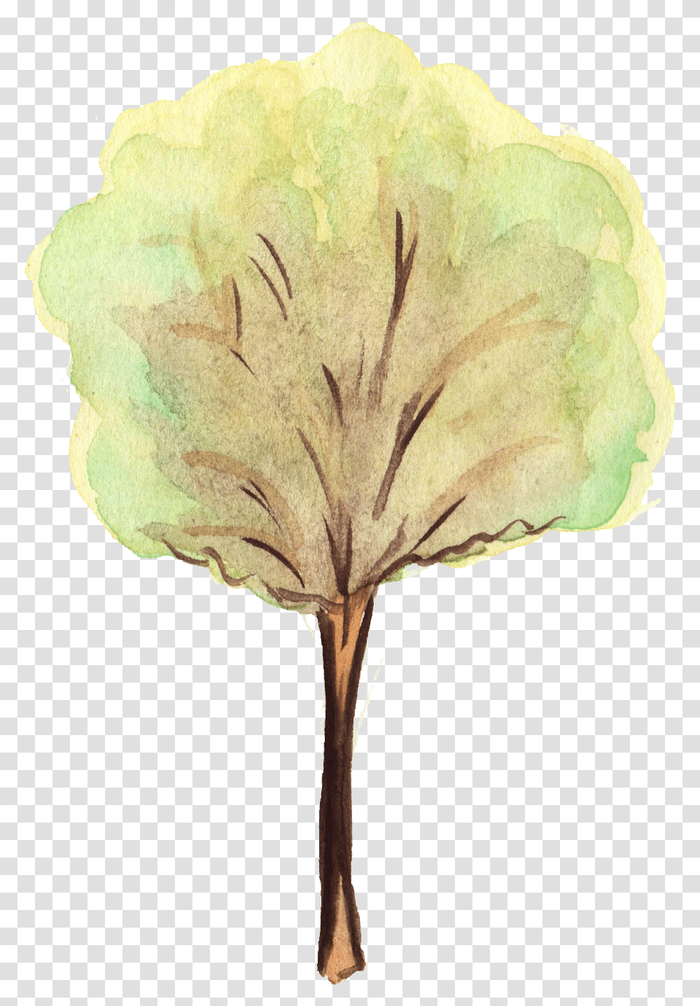 Watercolor Tree Trees Water Color, Plant, Flower, Blossom, Petal Transparent Png