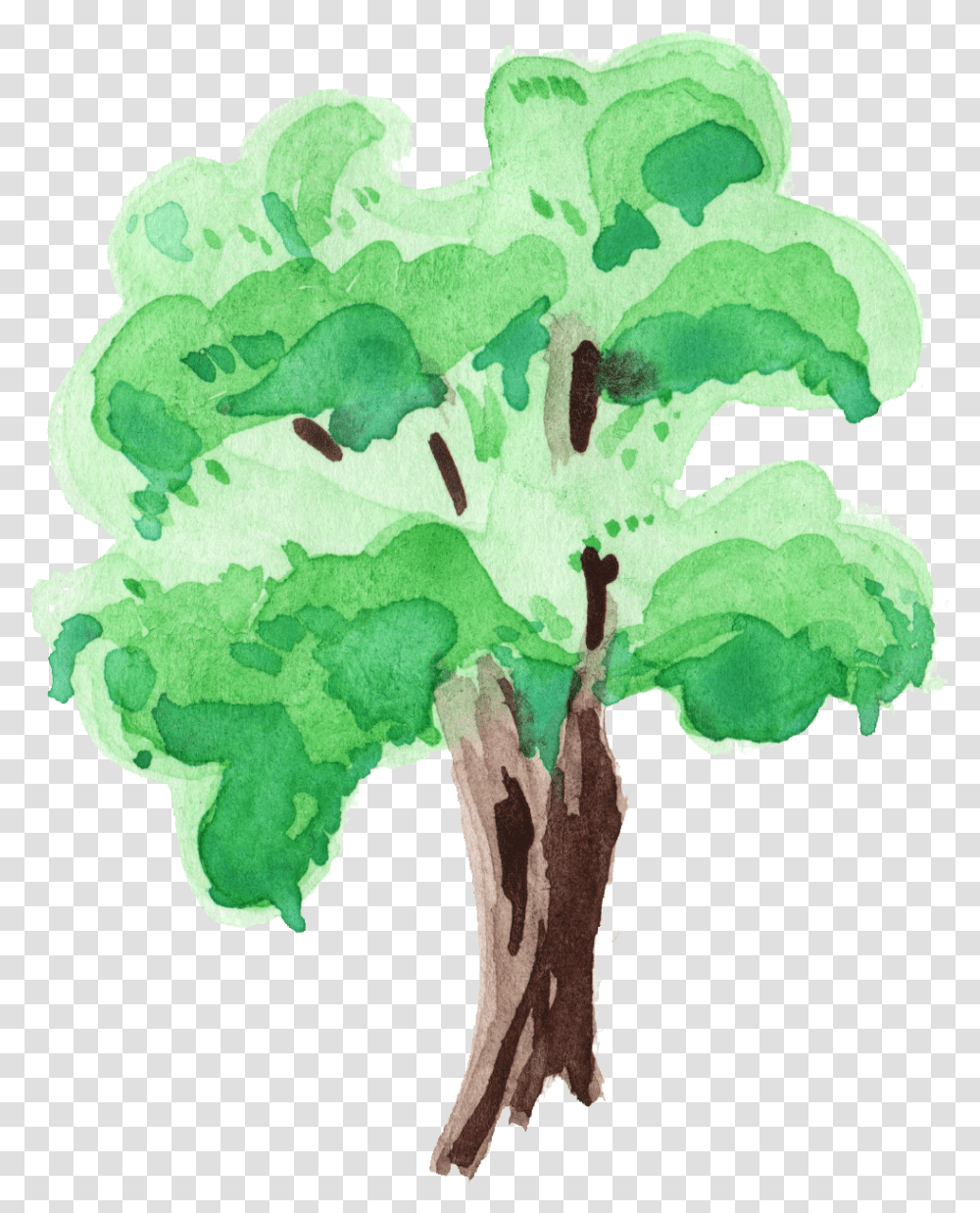 Watercolor Tree Water Paint Tree, Plant, Vegetation, Green, Leaf Transparent Png