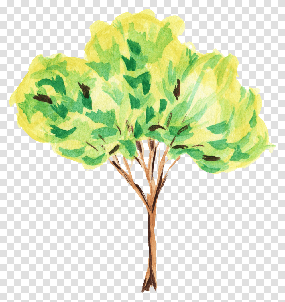 Watercolor Tree Watercolor Trees, Plant, Fungus, Flower, Blossom Transparent Png