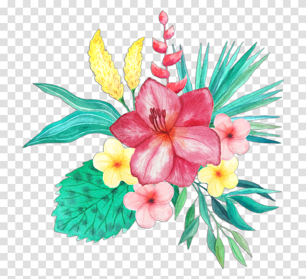 Watercolor Tropical Flower, Plant, Blossom, Hibiscus Transparent Png