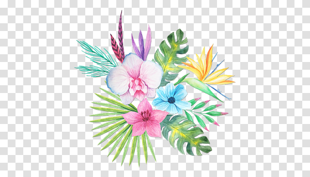 Watercolor Tropical Flowers, Plant, Blossom, Geranium, Floral Design Transparent Png