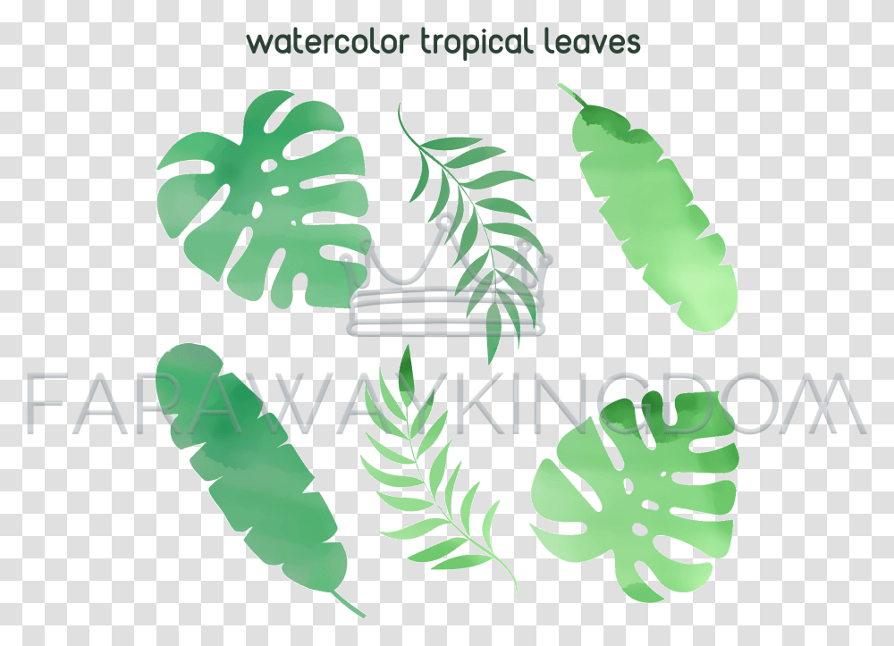 Watercolor Tropical Leaf Summer Vector Illustration Set Illustration, Plant, Green, Fern, Flower Transparent Png