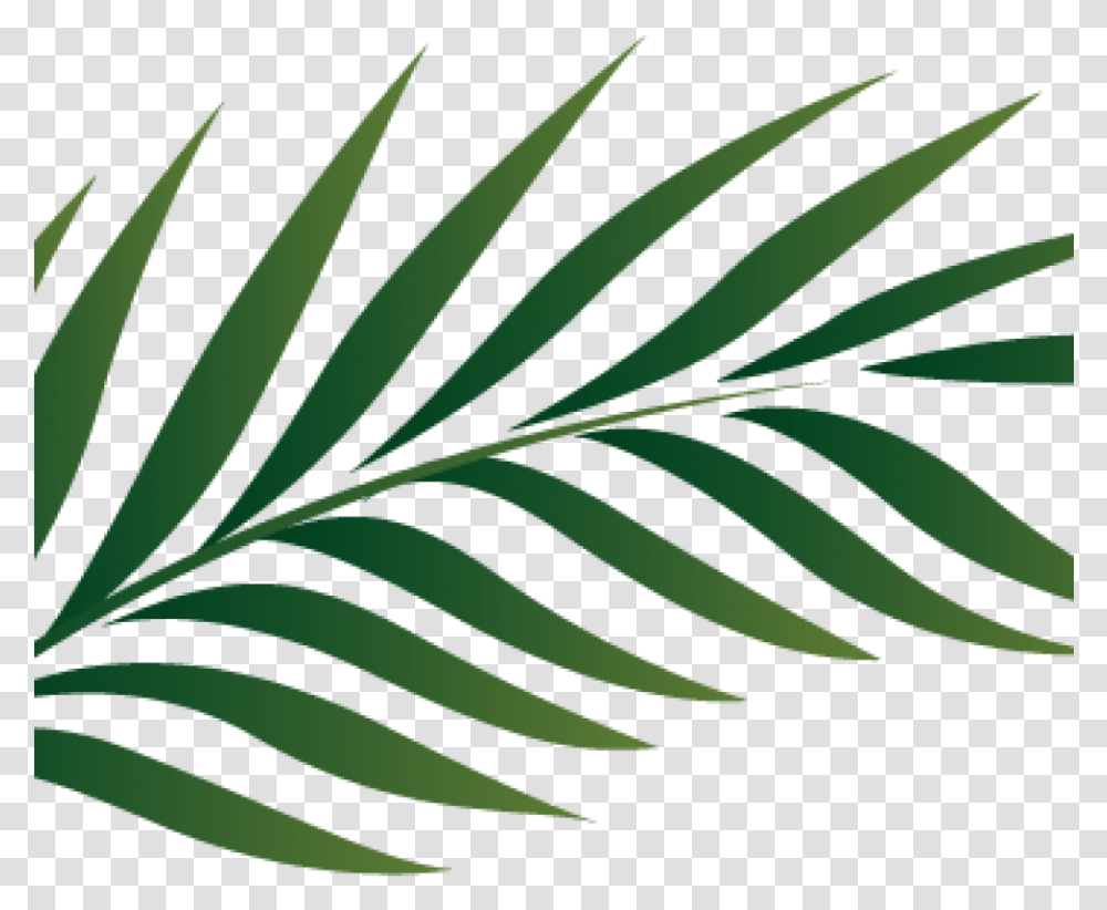 Watercolor Tropical Leaves, Plant, Green, Leaf, Fern Transparent Png