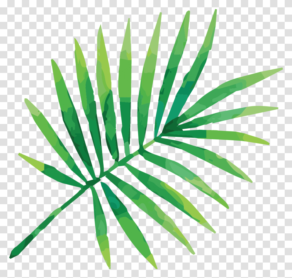 Watercolor Tropical Leaves Vectors Vector Tropical Leaves, Plant, Leaf, Flower, Blossom Transparent Png