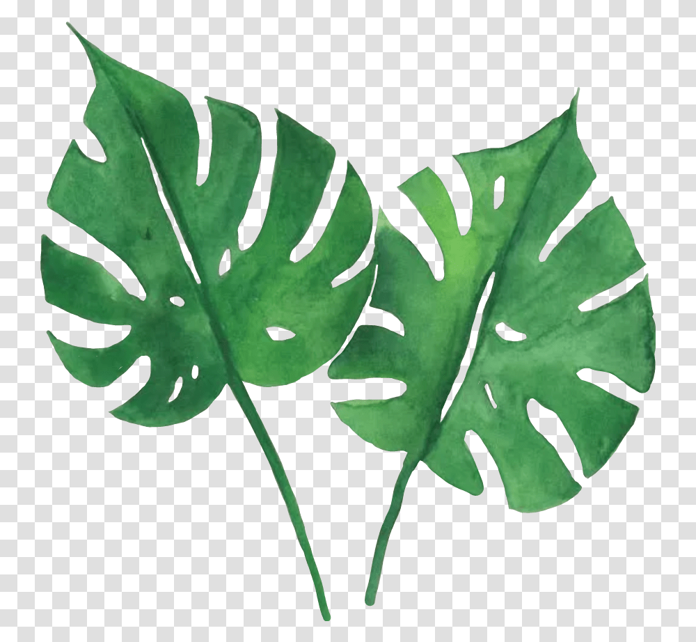 Watercolor Tropical Leaves Watercolor Tropical Leaves, Leaf, Plant, Green, Veins Transparent Png