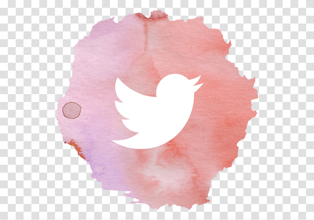 Watercolor Twitter Download Twitter Icon In Pink Watercolor, Plant, Bird, Flower, Leaf Transparent Png
