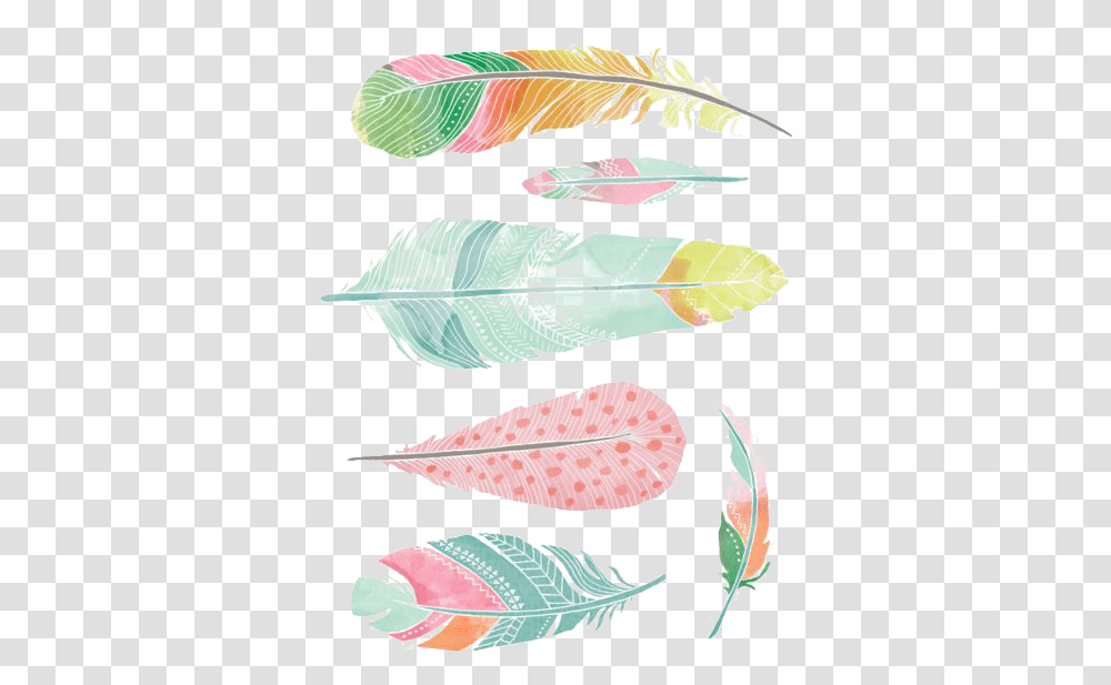 Watercolor Wallpaper Feathers, Leaf, Plant, Flower Transparent Png