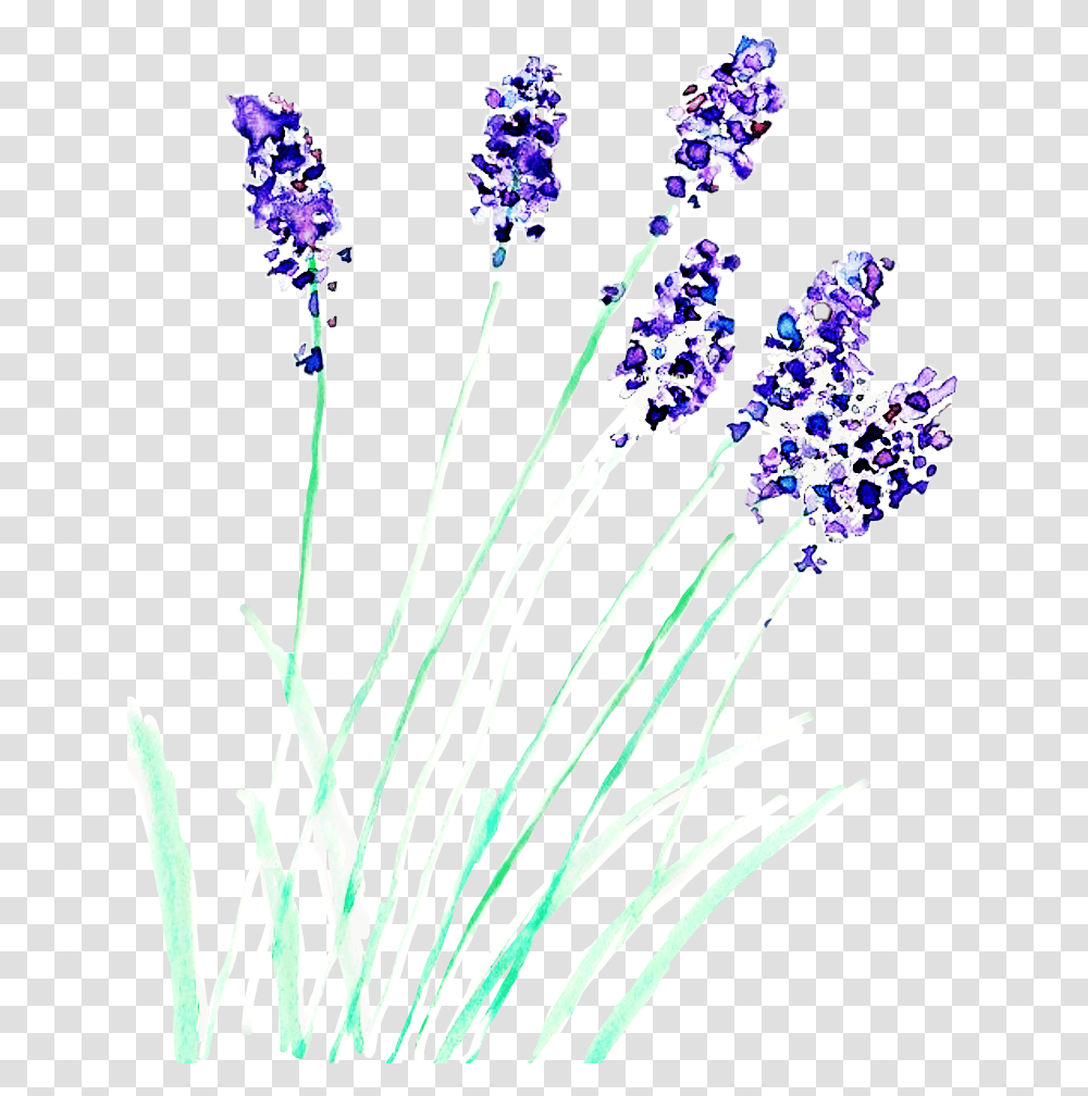 Watercolor Watercolorstickers Flower Lavender Freetoedit Watercolor Painting, Plant, Pollen, Blossom, Purple Transparent Png