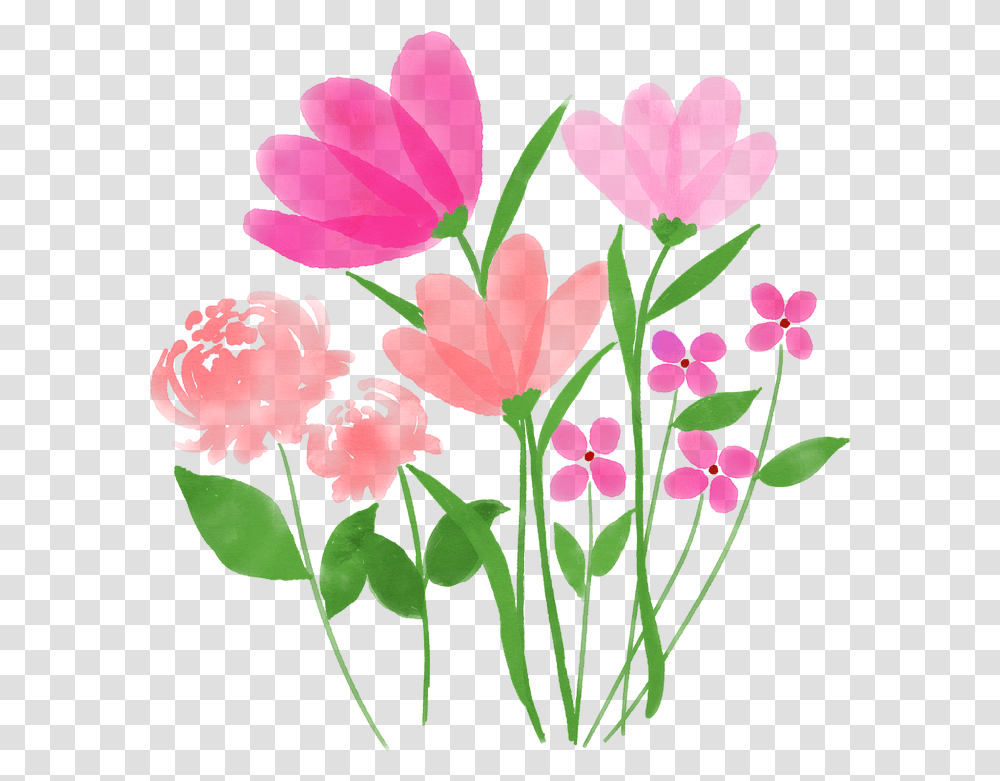 Watercolor Watercolour Flowers Spring Flower Flowers Tulipa Humilis, Plant, Blossom, Floral Design, Pattern Transparent Png