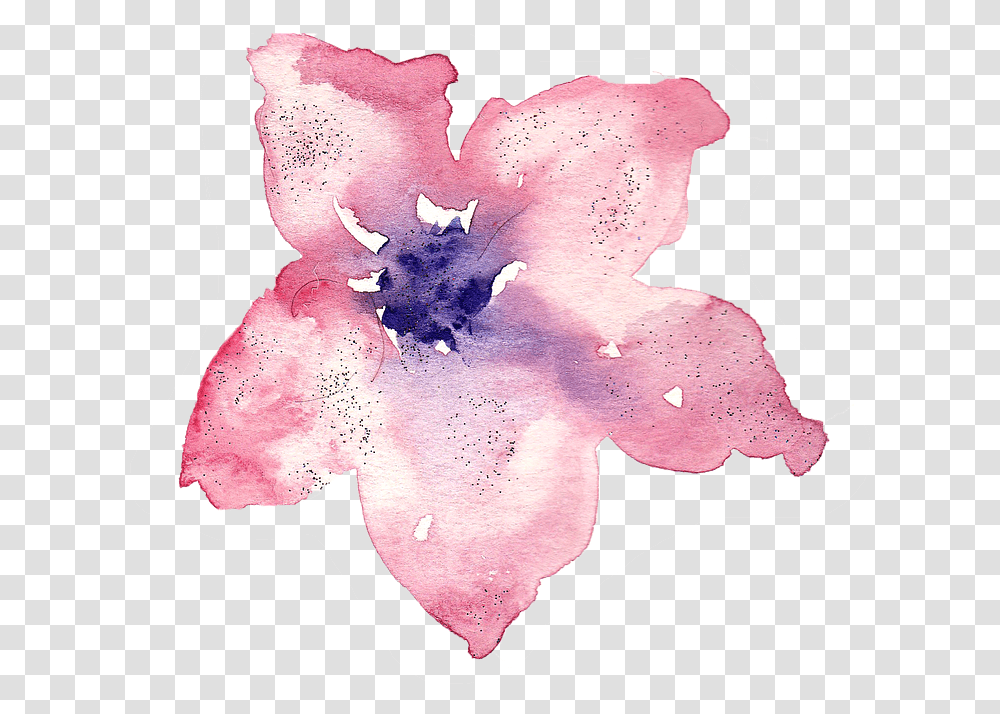 Watercolor Watercolour Lily Flower Rose Art Background Watercolor, Plant, Petal, Blossom, Geranium Transparent Png