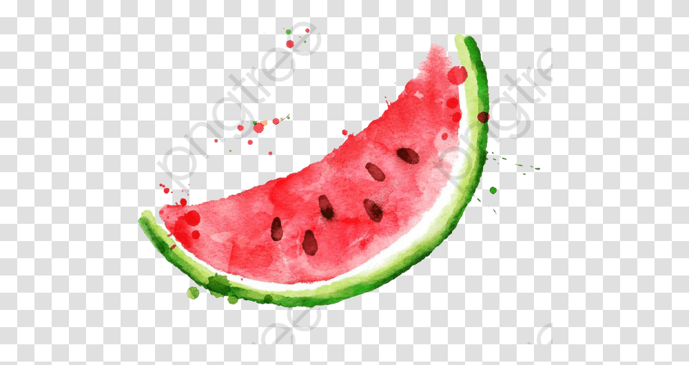 Watercolor Watermelon Slice, Plant, Fruit, Food, Fish Transparent Png