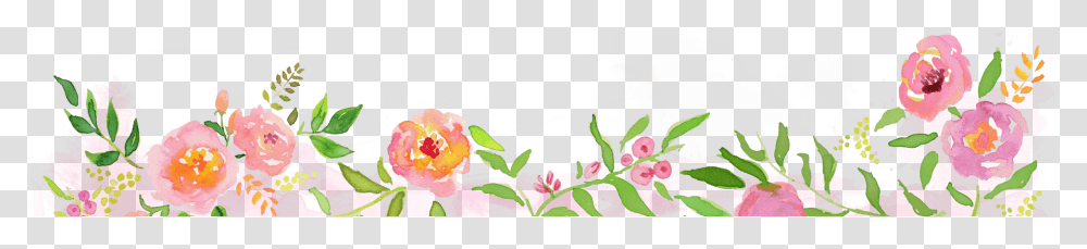 Watercolor Website Template, Plant, Flower, Fruit, Food Transparent Png
