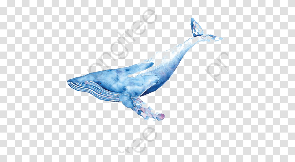 Watercolor Whale Clipart Blue Watercolor Whale, Sea Life, Animal, Tuna, Fish Transparent Png