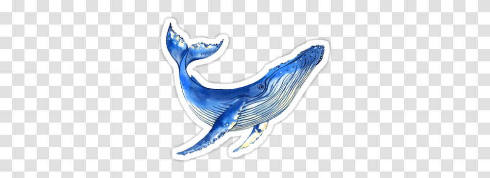 Watercolor Whale Sticker Watercolor Whale Sticker, Mammal, Sea Life, Animal, Dolphin Transparent Png