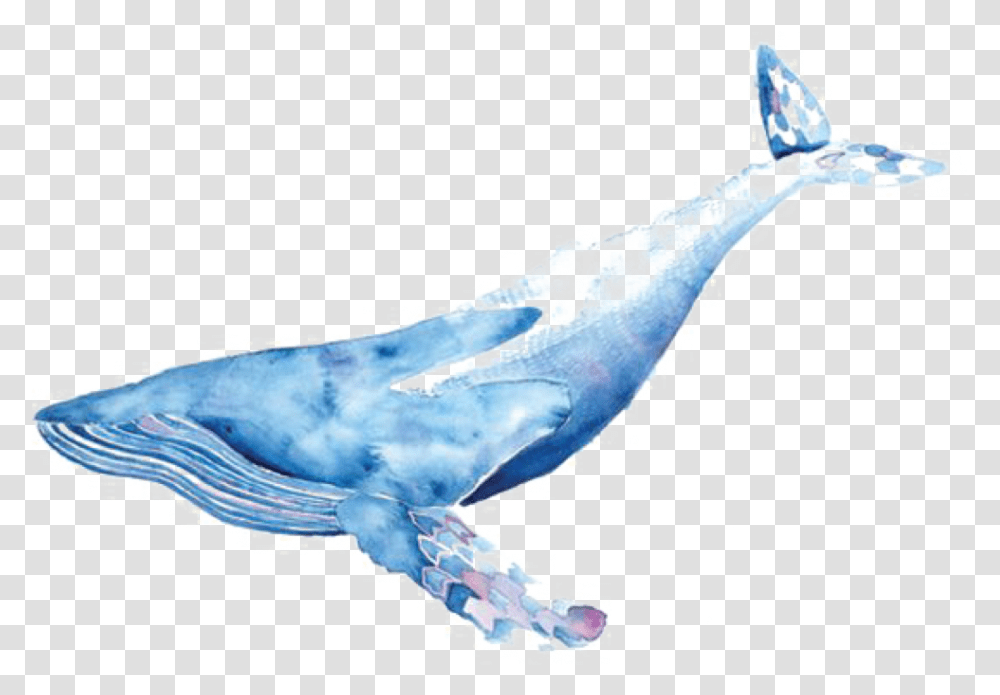 Watercolor Whale Whale Watercolor, Animal, Sea Life, Mammal, Fish Transparent Png