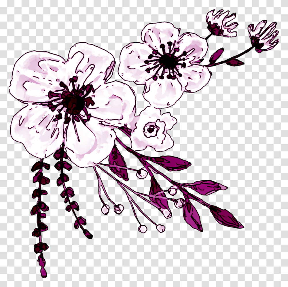 Watercolor White Flower Clipart Vivieron Felices Por Siempre, Plant, Blossom, Cherry Blossom, Graphics Transparent Png