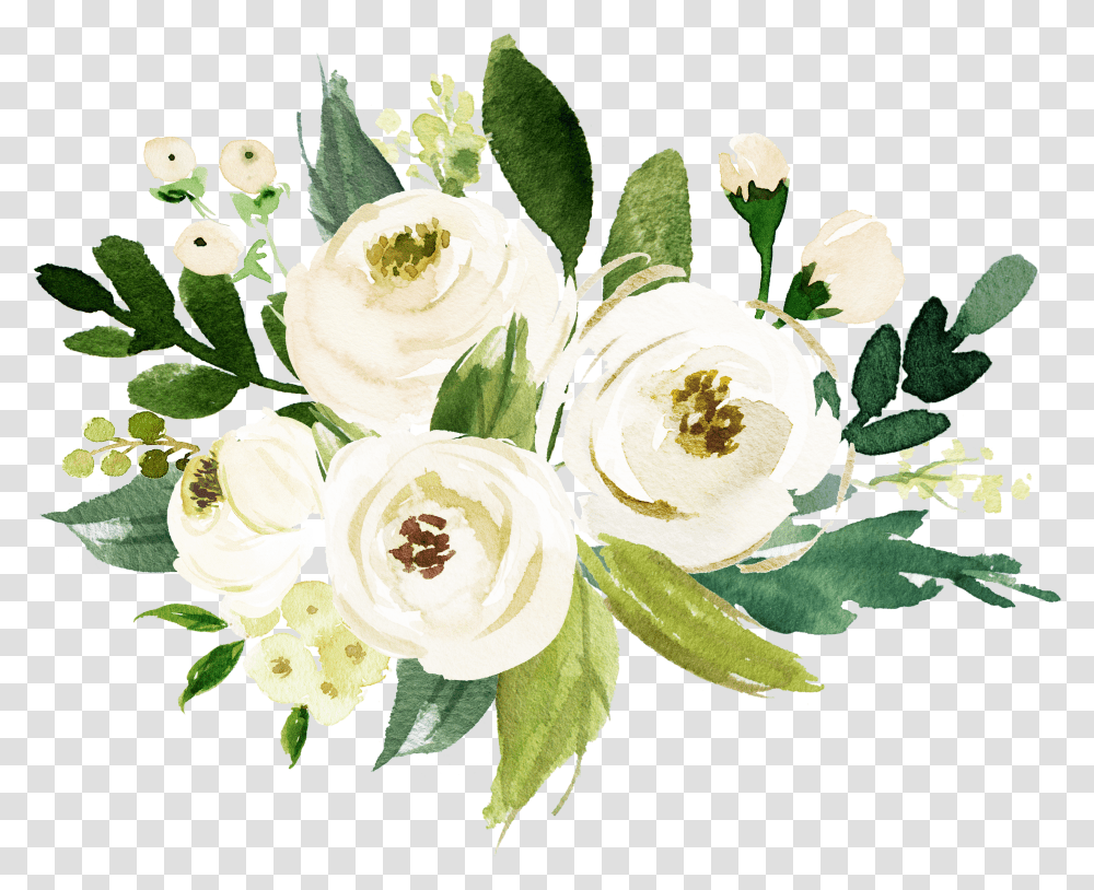 Watercolor White Flower Transparent Png