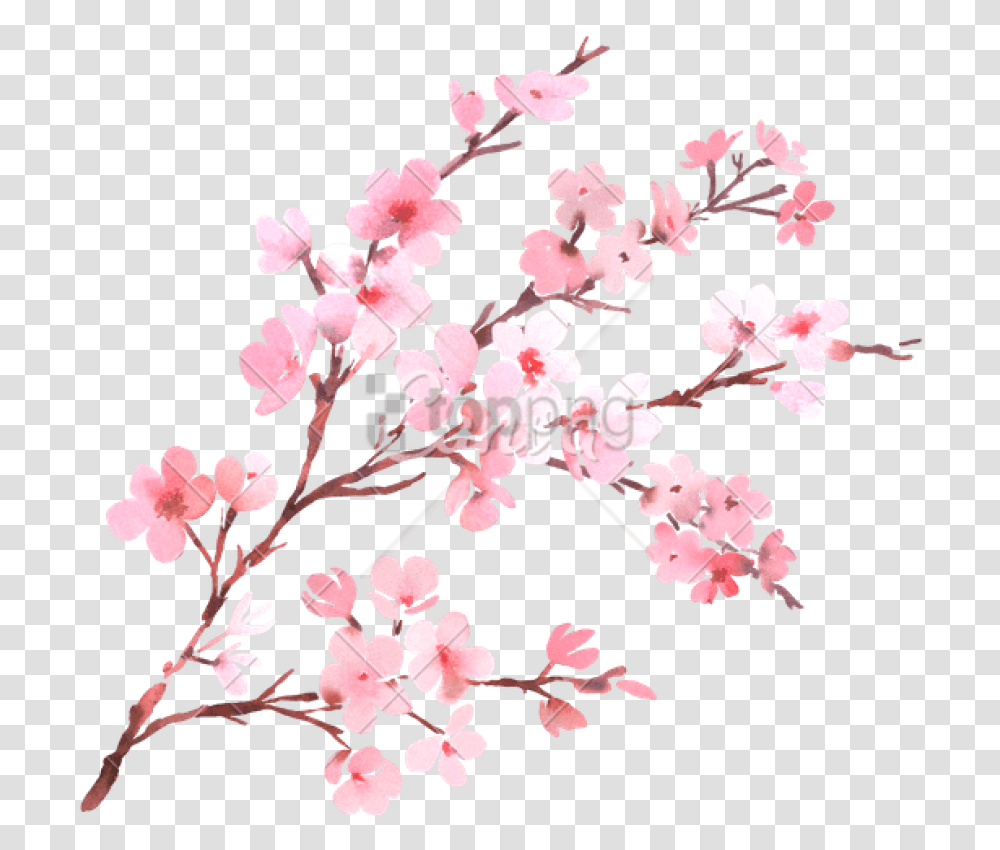 Watercolor With Spring Tree Branch In Blossom Cherry Blossom, Plant, Flower Transparent Png