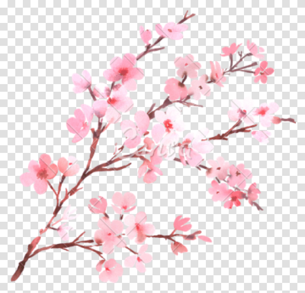 Watercolor With Spring Tree Branch In Blossom Watercolor Background Cherry Blossom, Plant, Flower Transparent Png