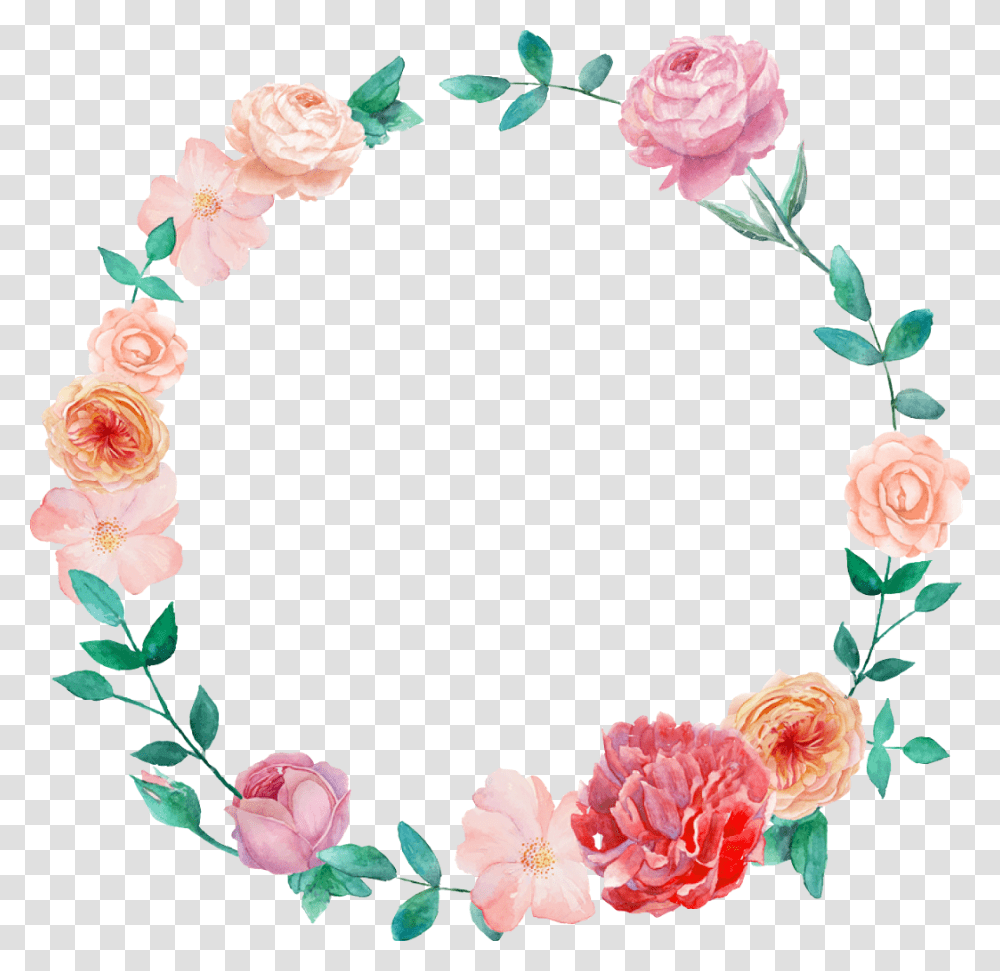Watercolor Wreath Flower, Plant, Blossom, Rose, Carnation Transparent Png