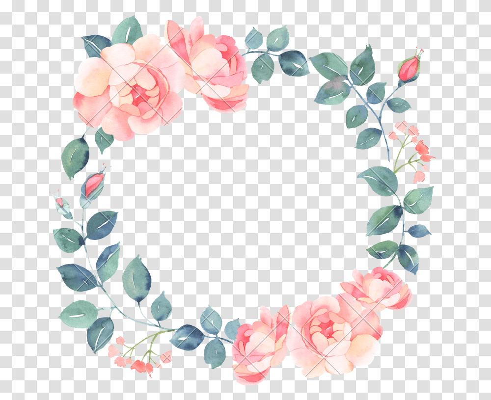 Watercolor Wreath Illustration, Plant, Flower, Blossom, Carnation Transparent Png