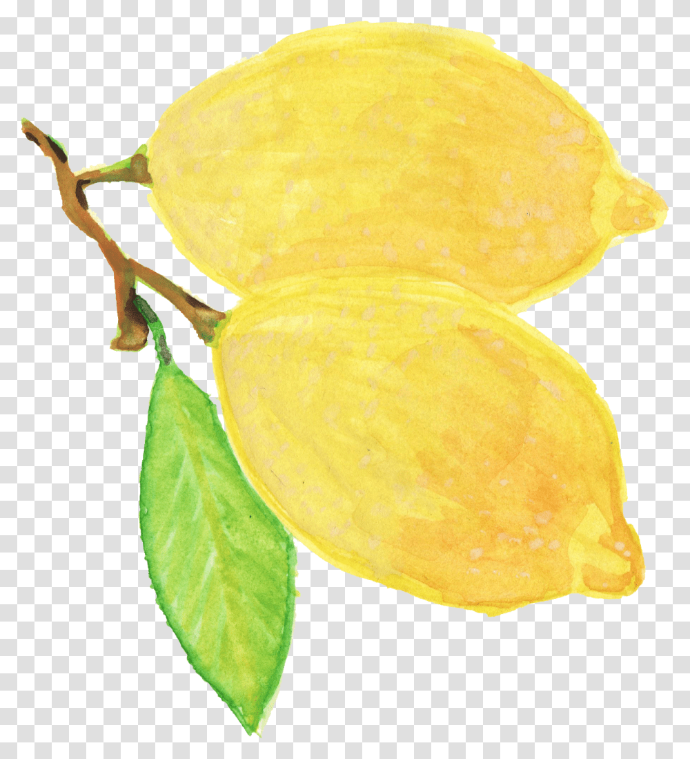Watercolor Yellow Flower Watercolor Yellow Flowers Background, Plant, Fungus, Fruit, Food Transparent Png