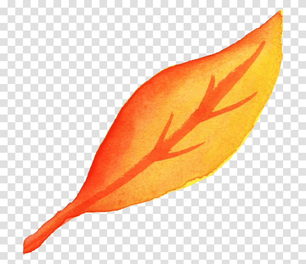 Watercolor Yellow Leaf Onlygfxcom Fall Watercolor Leaf, Plant, Petal, Flower, Food Transparent Png