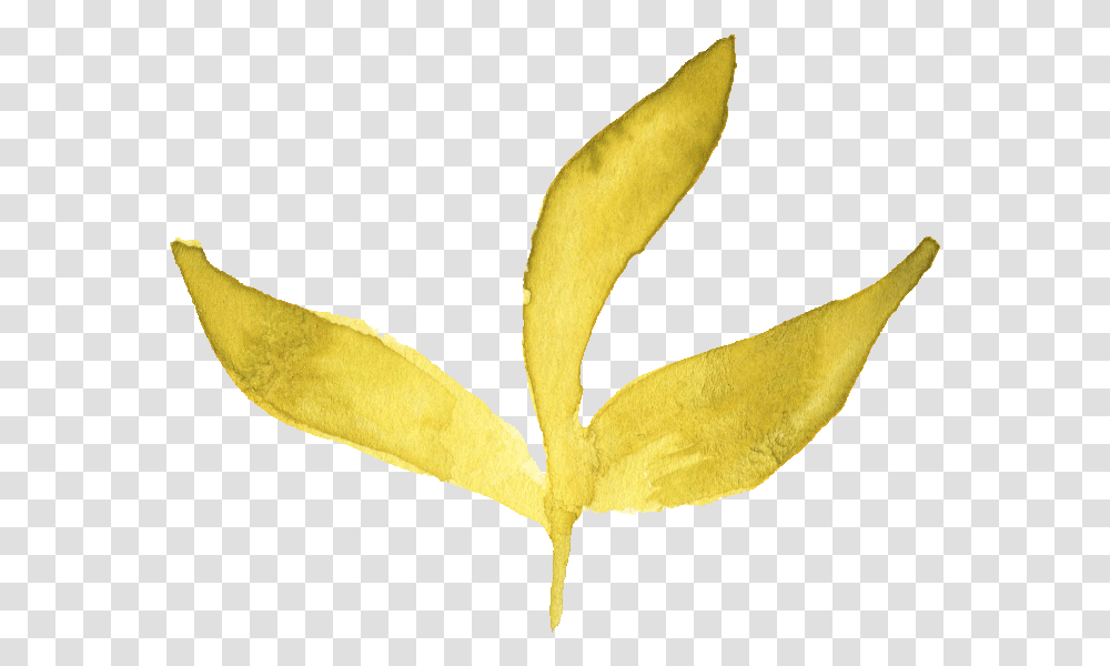 Watercolor Yellow Leaf Watercolor Yellow Leaf, Plant, Peel, Petal, Flower Transparent Png
