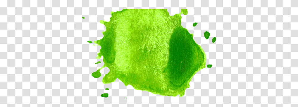 Watercolors Green Splash, Plant, Tennis Ball, Moss, Jar Transparent Png