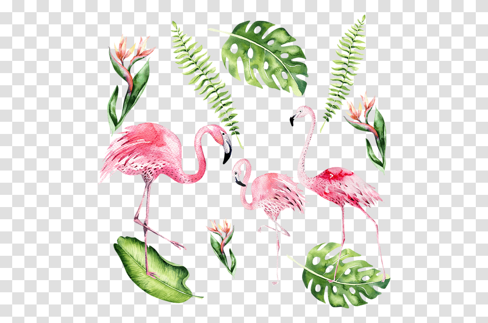 Watercolour Flamingo, Bird, Animal, Flower, Plant Transparent Png