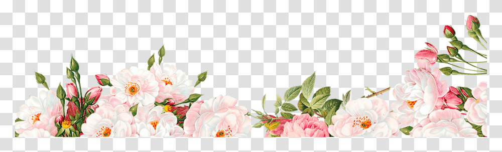 Watercolour Flower Border, Floral Design, Pattern Transparent Png