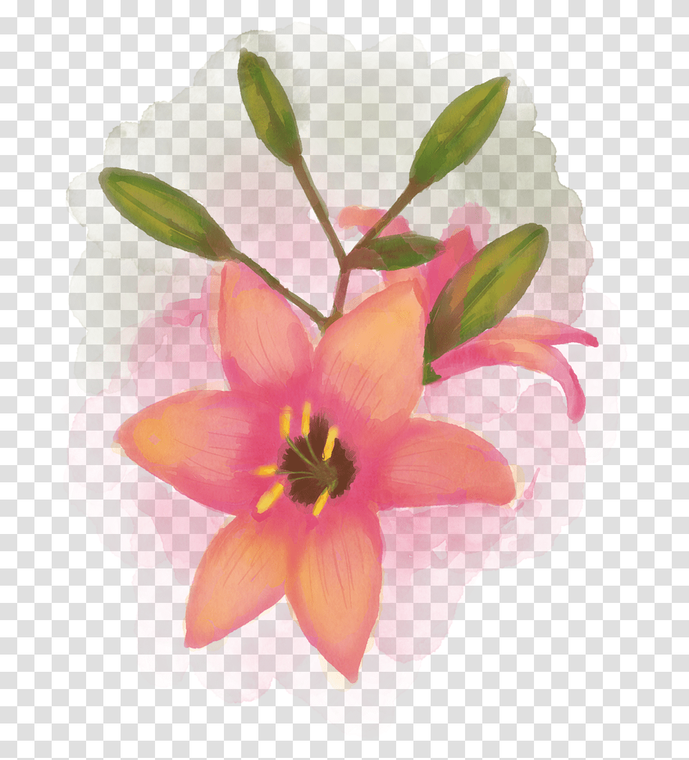 Watercolour Flower Bouquet Floral Watercolor Nature Gambar Bunga Cat Air, Plant, Geranium, Blossom, Flower Arrangement Transparent Png